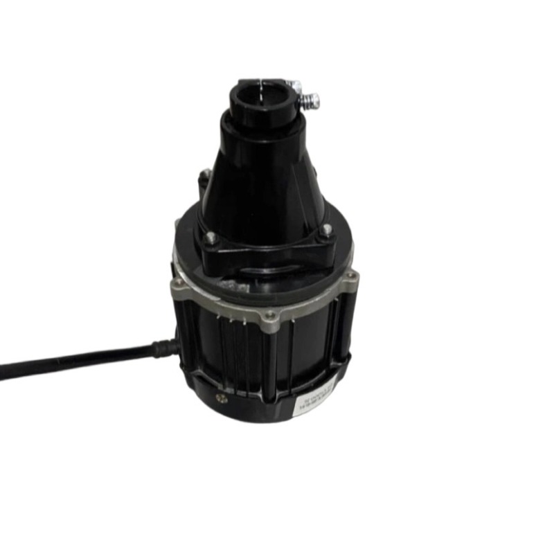 Motor Luar Tanpa Sikat 12-60V  - Fishing Boat Outboard Motor ulasan dan harga