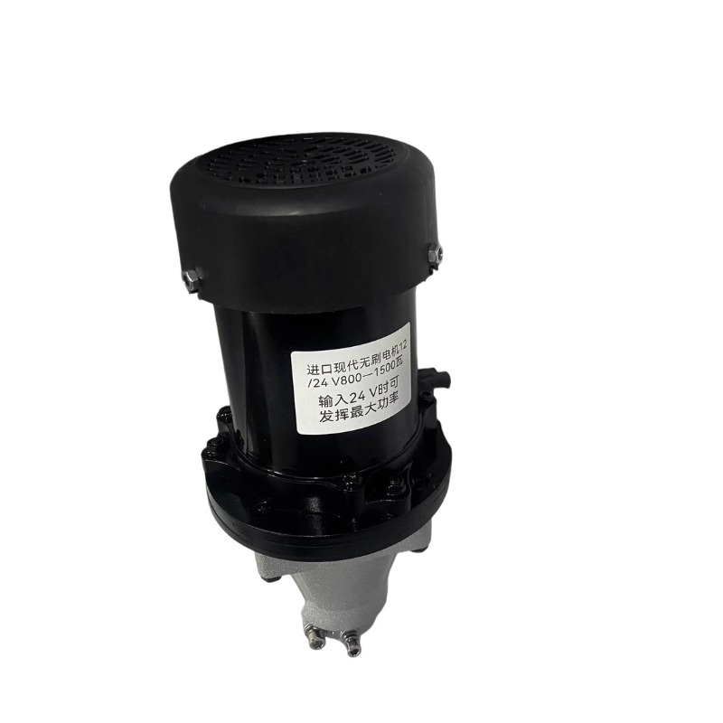 Motor Luar Tanpa Sikat 12-60V  - Fishing Boat Outboard Motor ulasan dan harga